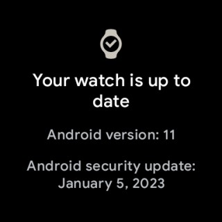 تتلقى Google Pixel Watch تحديث يناير